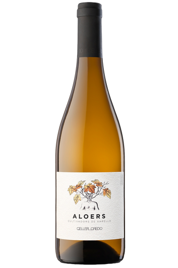 Celler Credo Aloers 2019